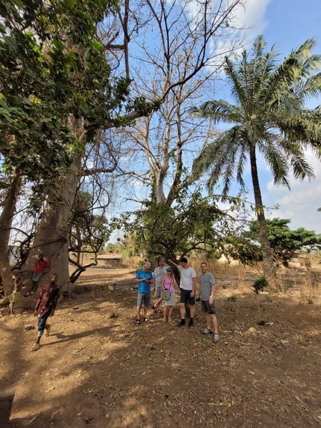 Togo Rundgang 53.jpg